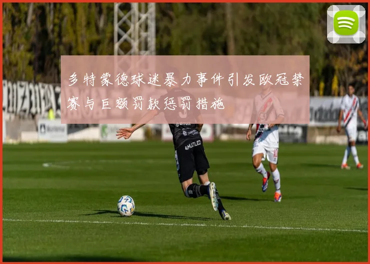 多特蒙德球迷暴力事件引发欧冠禁赛与巨额罚款惩罚措施