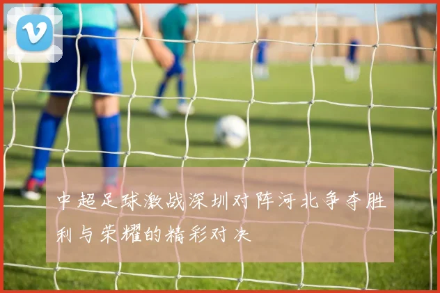 中超足球激战深圳对阵河北争夺胜利与荣耀的精彩对决