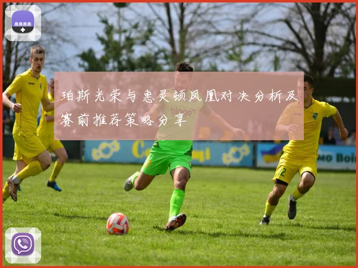 珀斯光荣与惠灵顿凤凰对决分析及赛前推荐策略分享