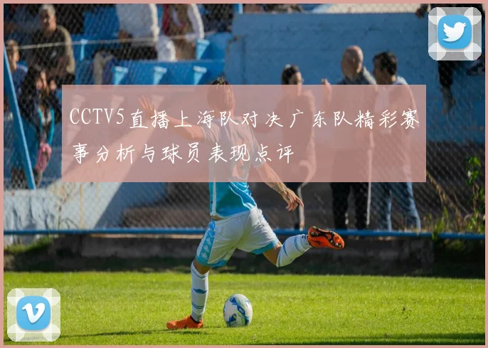 CCTV5直播上海队对决广东队精彩赛事分析与球员表现点评