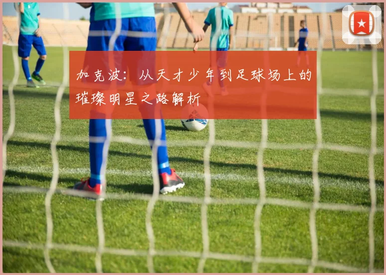 加克波：从天才少年到足球场上的璀璨明星之路解析